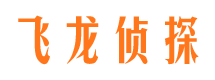 平阳市私家侦探公司